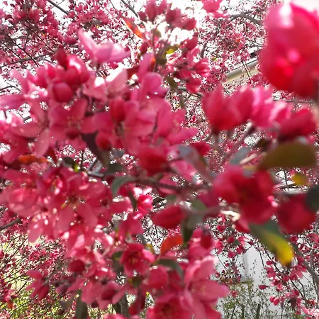 Avec Parking 5 Mm Colmar Apartamento